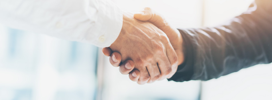 写真:解析レポート